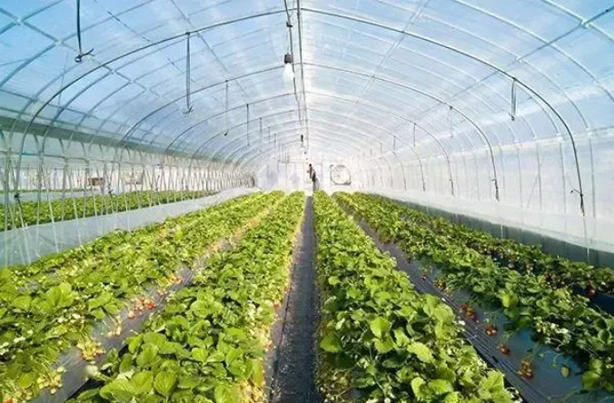 有機肥建廠，選原料和輔料一定得考慮這些……