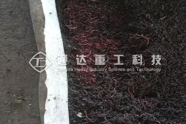 印度：蚯蚓把城市有機垃圾變成絕佳肥料