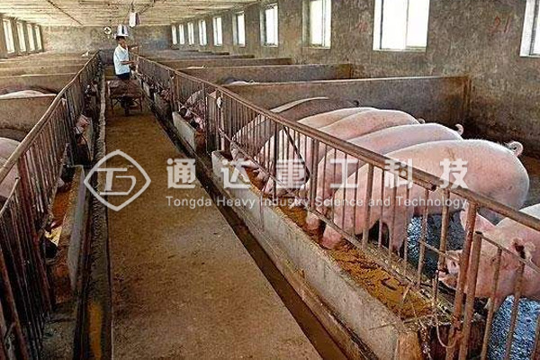 養(yǎng)豬場糞便如何清除的?養(yǎng)豬場糞便無害化處理設(shè)備和方法有哪些?