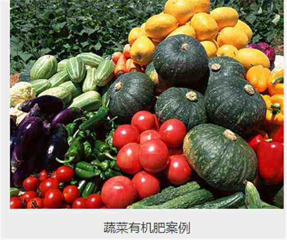 有機(jī)肥水果.jpg